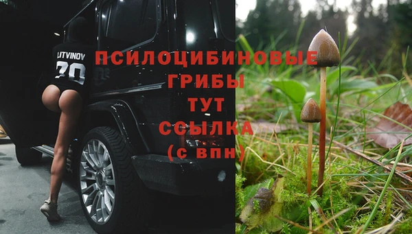 mix Белокуриха