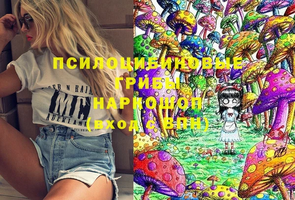 mix Белокуриха