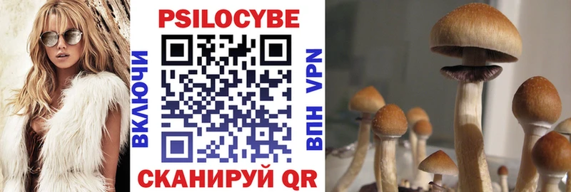 хочу наркоту Городовиковск Псилоцибиновые грибы мухоморы